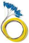 Qoltec 12 x Pigtail fiber optic LC/APC | Singlemode | G657A2 | 2m