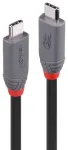 USB kabelis Lindy USB-C - USB-C 2 m Black (36958)