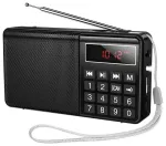 Portable radio Hoco HI50 black
