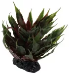Terrarium decor: Repti Planet Agave succulent green, 18 cm