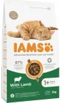 Dry cat food - IAMS CAT ADULT LAMB, 3 kg
