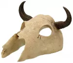 Terrarium decor / skull: Repti Planet Buffalo skull 12,5x11,8x8cm