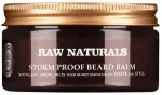 Raw Naturals, Storm Proof, 100% vegani&scaron;kas, Barzdos balzamas, Mink&scaron;tinamasis, 100 ml