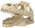 Terrarium decor: Repti Planet T:REX skull 13,3x8,5x9cm