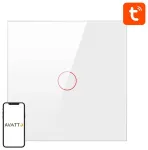 Smart Light Switch ZigBee Avatto ZTS02-EU-W1 1 Way TUYA (white)