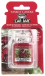 Yankee Candle GEL.TAG Red Raspberry scented tag 1 pcs