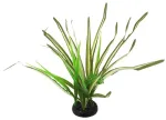 Terrarium decor: Repti Planet Spartina grass, 30 cm