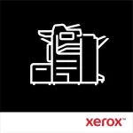 Xerox 497N07968 Popieriaus dėklas 550 lapų B305 / B310 / B315