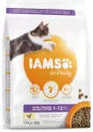 Sausā barība kaķēniem &ndash; IAMS CAT KITTEN CHICKEN, 1.5 kg