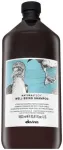 Davines Natural Tech Well-Being &Scaron;ampūns 1000 ml