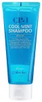 Esthetic House CP-1 HEAD SPA Cool Mint Shampoo 100ml &Scaron;ampūns