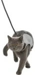 Cat harness vest with leash : Trixie Soft harness with lead for cats, 24&ndash;42 cm, 1,20 m