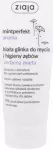 Ziaja Mintperfect Toothpaste Aroma White Clay Verbena and Mint - with Minerals - 100ml