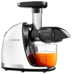 Slow Juicer AMZCHEF 1501-WT (White)