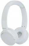 Wireless headphones ENC PANASONIC RB-HF630BEW white