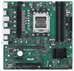 Asus PRO B650M-CT-CSM (gr&uuml;n)