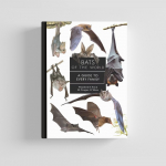 Knyga BATS OF THE WORLD. A Guide to Every Family