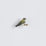 Ženkliukas FIRECREST / Baltabruvis nyk&scaron;tukas