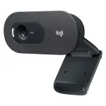 Interneto kamera Logitech C505 HD, 720p (960-001364)