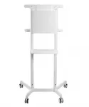 Neomounts grindinis stovas NS-M1250Baltas 37'' - 70''