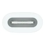 Adapteris Apple USB-C į Apple Pencil (MWML3ZM/A)