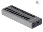 I&scaron;orinis USB &scaron;akotuvas Delock SuperSpeed, 10 prievadų su jungikliais
