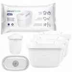 Vandens filtrai Aquafloow Maxi, 3 vnt