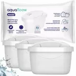 Vandens filtrai AquaFloow Maxi, 3 vnt