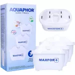 Vandens filtrai Aquaphor B25 Maxfor, 3 vnt