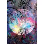 Tapybos pagal skaičius rinkinys 60&times;90 cm &ndash; The Moonlight (MMT001e)