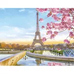 5D deimantinė mozaika 40&times;50 cm &ndash; Paris in Blossom (LG194e)