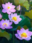 5D deimantinė mozaika 30&times;40 cm &ndash; Water Lilies (LE151e)