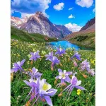 5D deimantinė mozaika 40&times;50 cm &ndash; Blooming Meadow (LG302e)