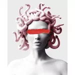 Tapybos pagal skaičius rinkinys 40&times;50 cm &ndash; Gorgon (MG2144e)