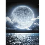 5D deimantinė mozaika 30&times;40 cm &ndash; Charming Full Moon (LE132e)