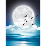5D deimantinė mozaika 30&times;40 cm &ndash; In the Moonlight (LE141e)