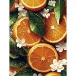 Tapybos pagal skaičius rinkinys 30&times;40 cm &ndash; Juicy Sunshine (ME1174e)