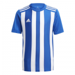 mar&scaron;kinėliai vaikams adidas dryžuotas 21 Džersis jaunimas balta-mėlyna GH7323