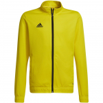 Megztinis vaikams adidas Entrada 22 Track Jacket geltonas HI2139