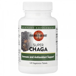 Mushroom Wisdom, Super Chaga, 120 vegetari&scaron;kų tablečių