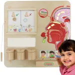 MASTERKIDZ Montessori lavinamoji lenta &bdquo;Uoslė&ldquo;