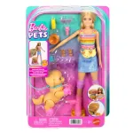 BARBIE SKATE N RUN &scaron;viesiaplaukės lėlės su riedučiais rinkinys (JMJ44)