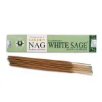 Golden Nag - Californian White Sage Smilkalai Vijayshree