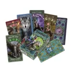 Anne Stokes Legends Taro kortos