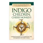 Indigo Children & Cheeky Monkeys: Understanding & Celebrating the Uniqueness of Every Child knyga