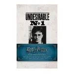 Harry Potter: Ie&scaron;komųjų plakatų ir ki&scaron;eninių knygelių kolekcija (rinkinys i&scaron; 3 dalių) Insight Editions