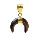 Pusmėnulio pakabukas su tigro akimi