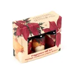 &bdquo;Christmas Botanicals&ldquo; 3 vnt. aromatinių aliejų rinkinys