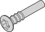 SCHROFF Torx lę&scaron;inė galvutė varžtas - NTS LISESHR TORX3.0X20 100 vnt. (24812501)