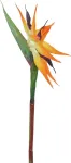 EUROPALMS dirbtinė rojaus pauk&scaron;čio gėlė, oranžinė, 95 cm 82530559